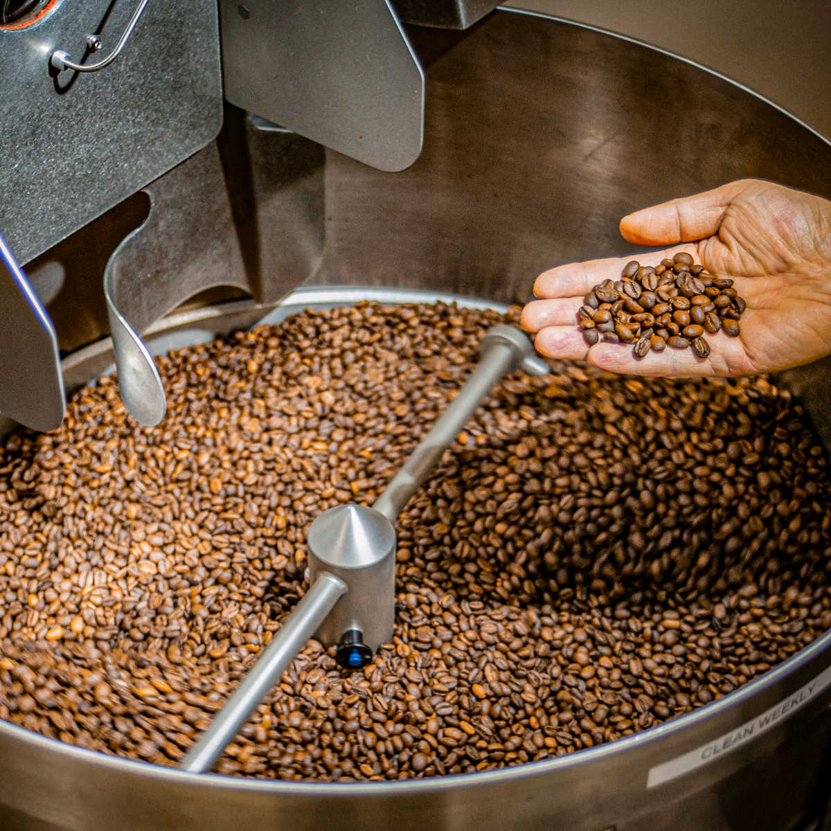 Enzyme Fermented Coffee — 12oz (340g) — Dayze Coffee Roasters