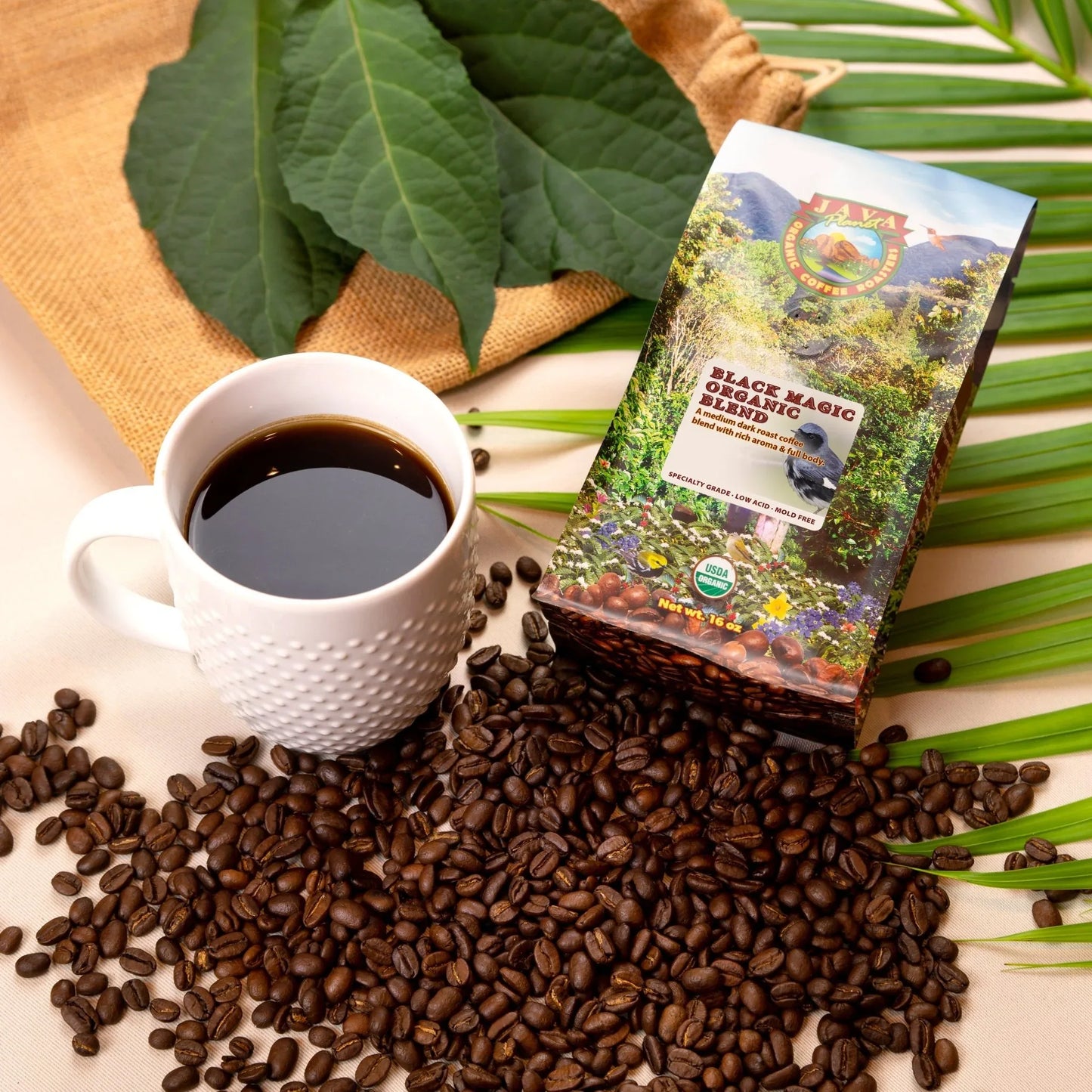 Black Magic Organic Blend coffee beans, white mug, and coffee bag on natural leaves, coffeefetch.com