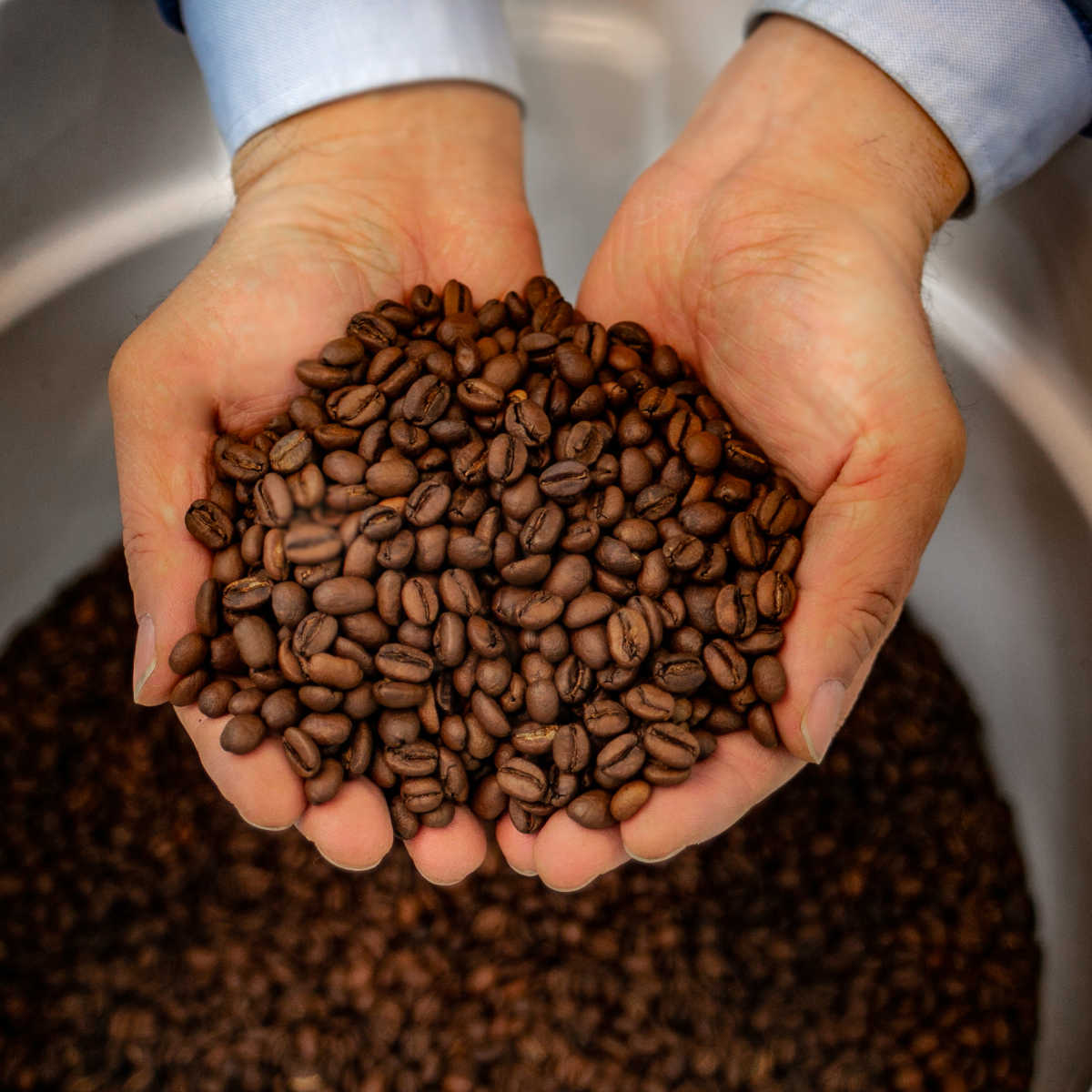 Enzyme Fermented Coffee — 12oz (340g) — Dayze Coffee Roasters