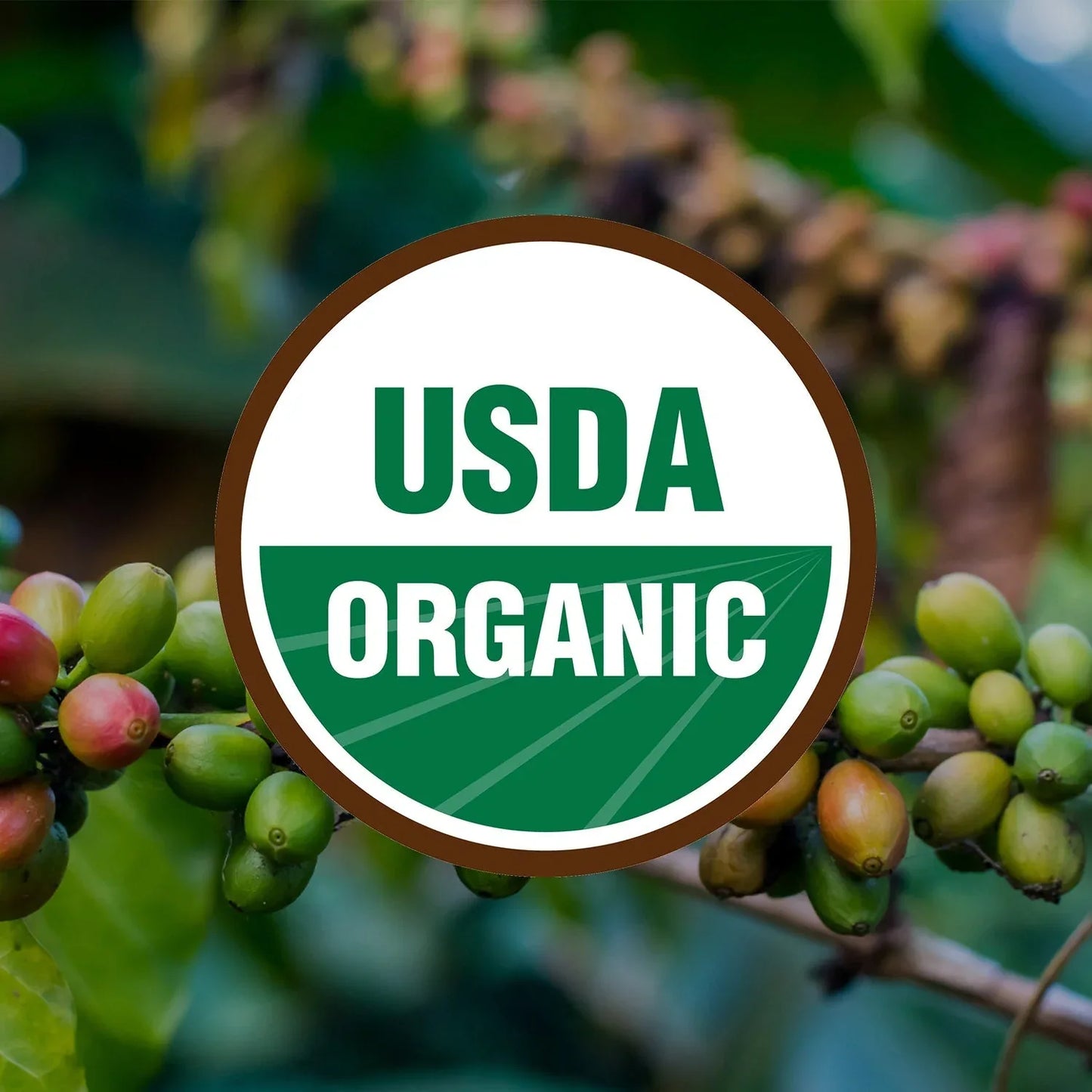 Black Magic Organic Blend - coffeefetch.com