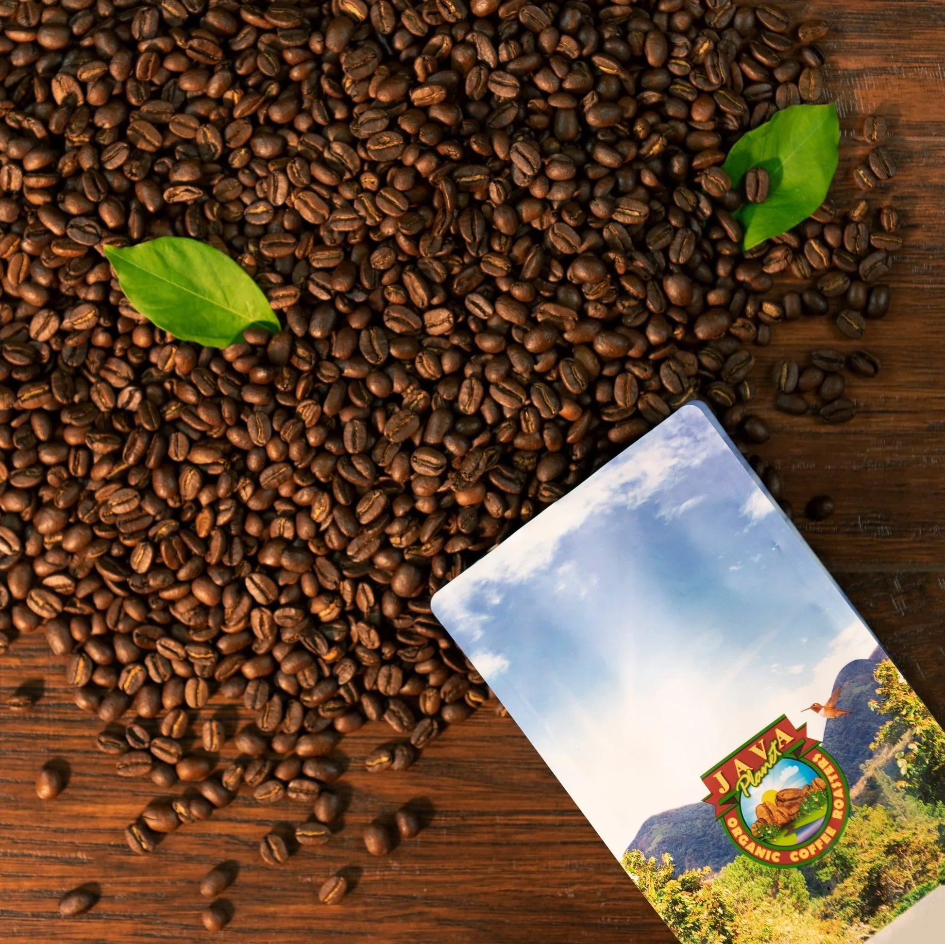 Black Magic Organic Blend - coffeefetch.com