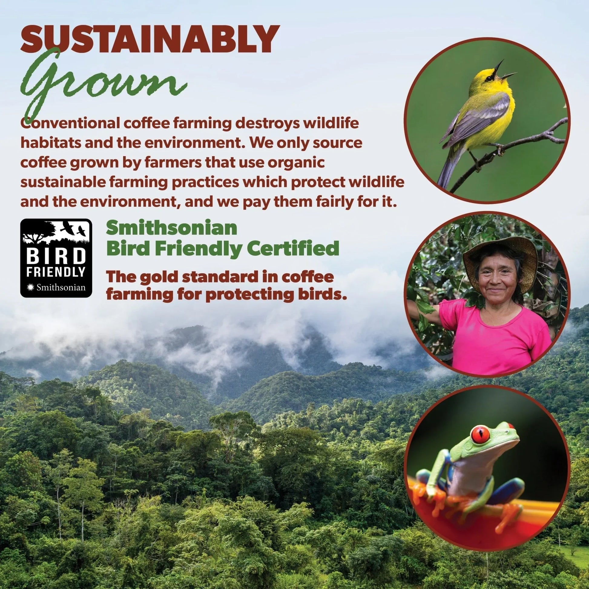 Colombia Organic - coffeefetch.com