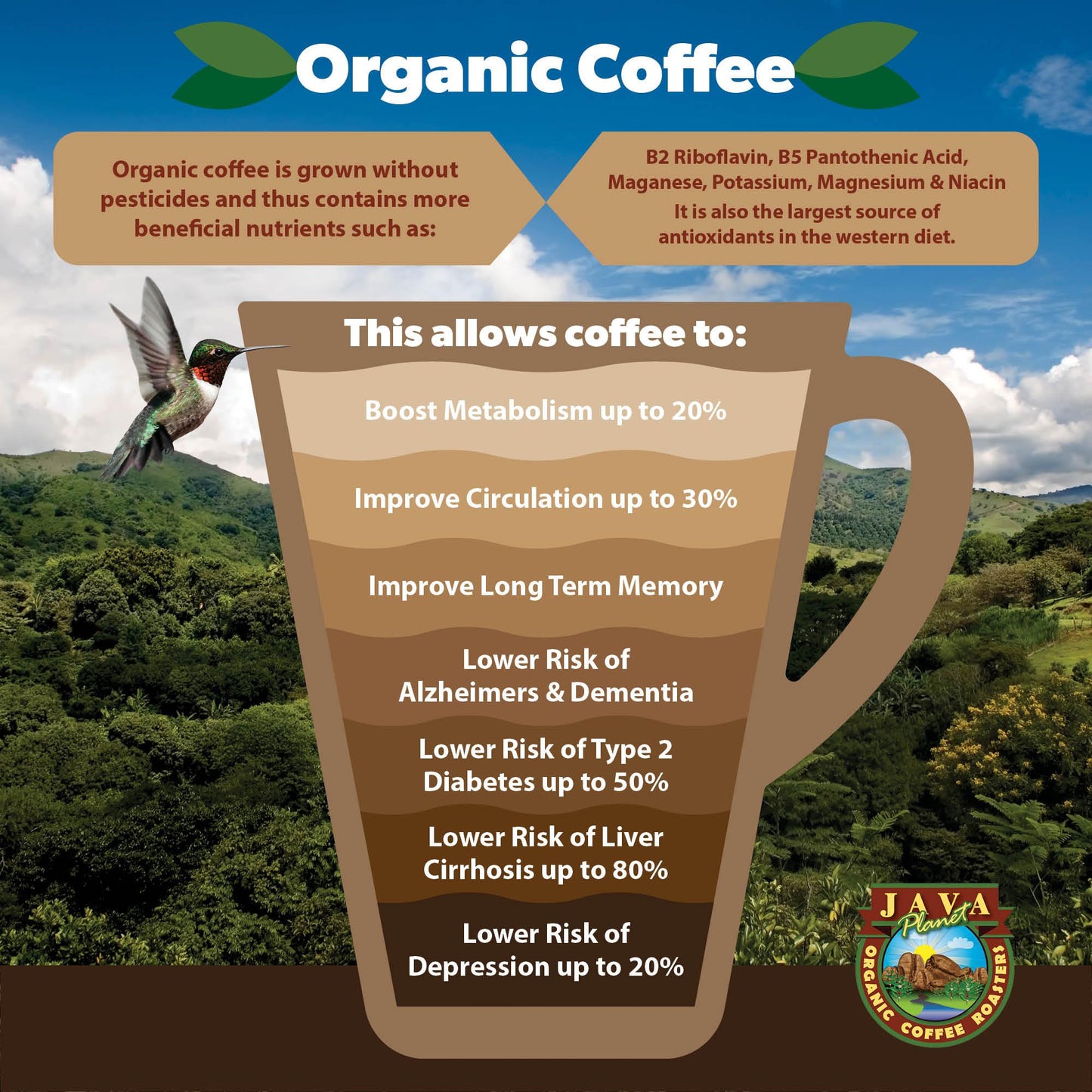 Ethiopian Organic - coffeefetch.com