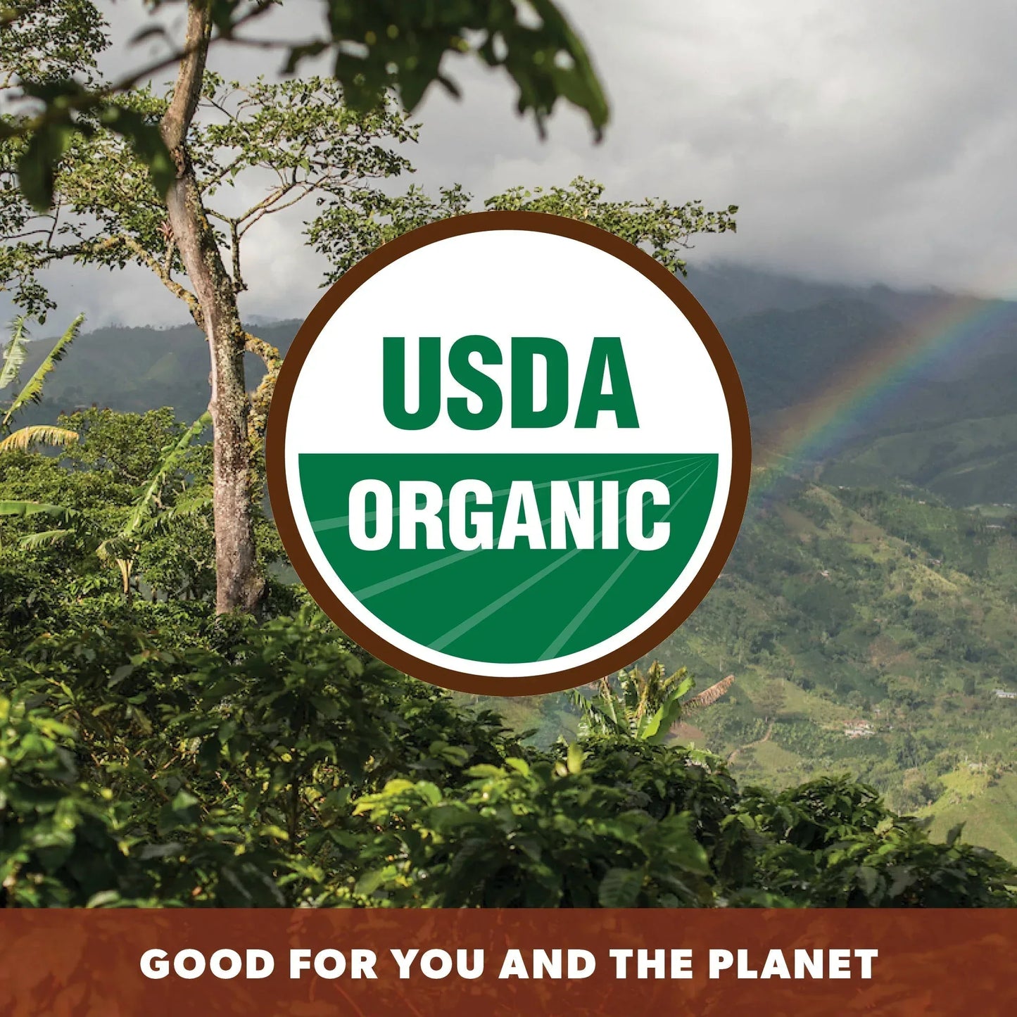 Good Morning Organic Blend - coffeefetch.com