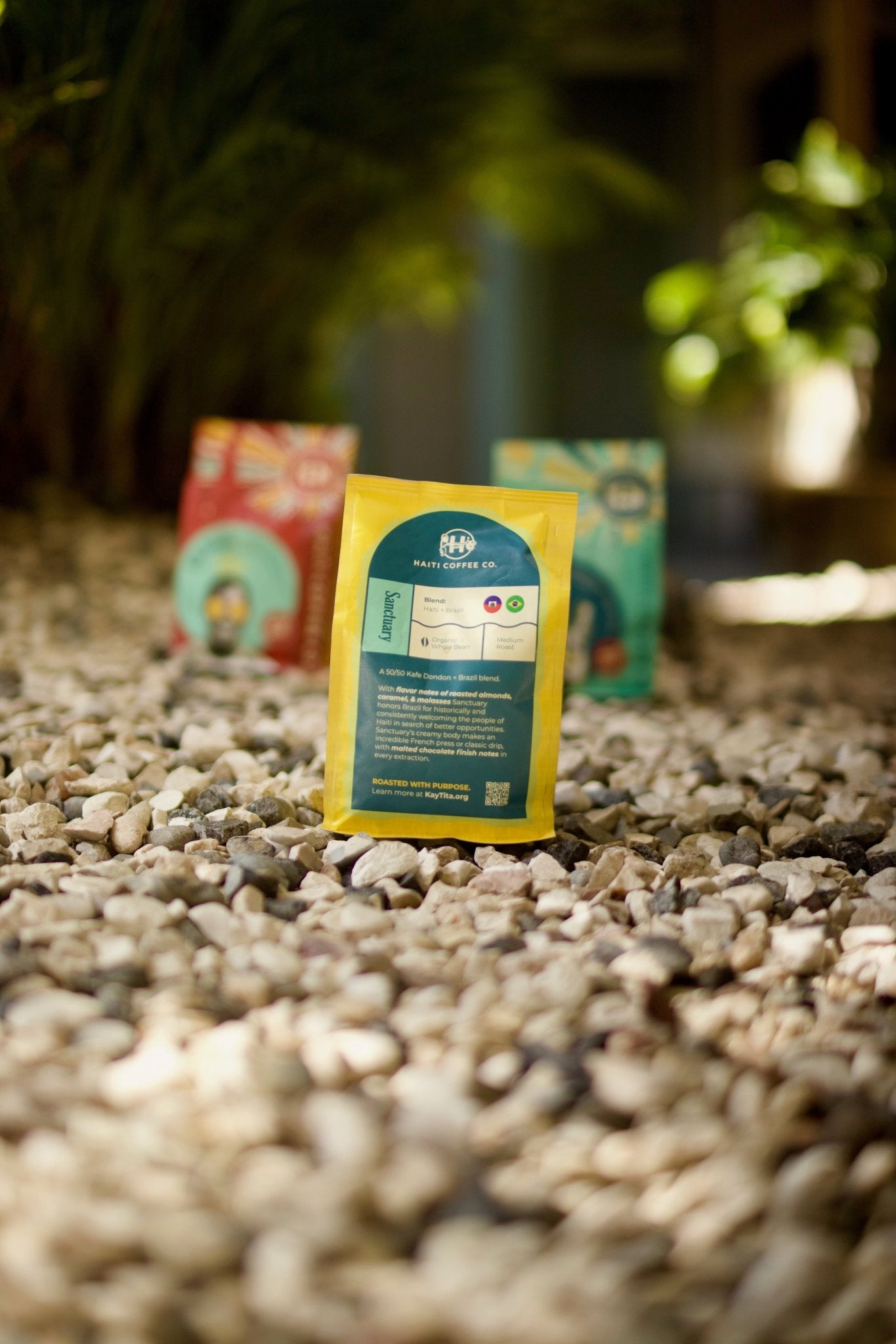 Sanctuary - A - uniquecoffee.storeSanctuarycoffeeA - uniquecoffee.store12oz