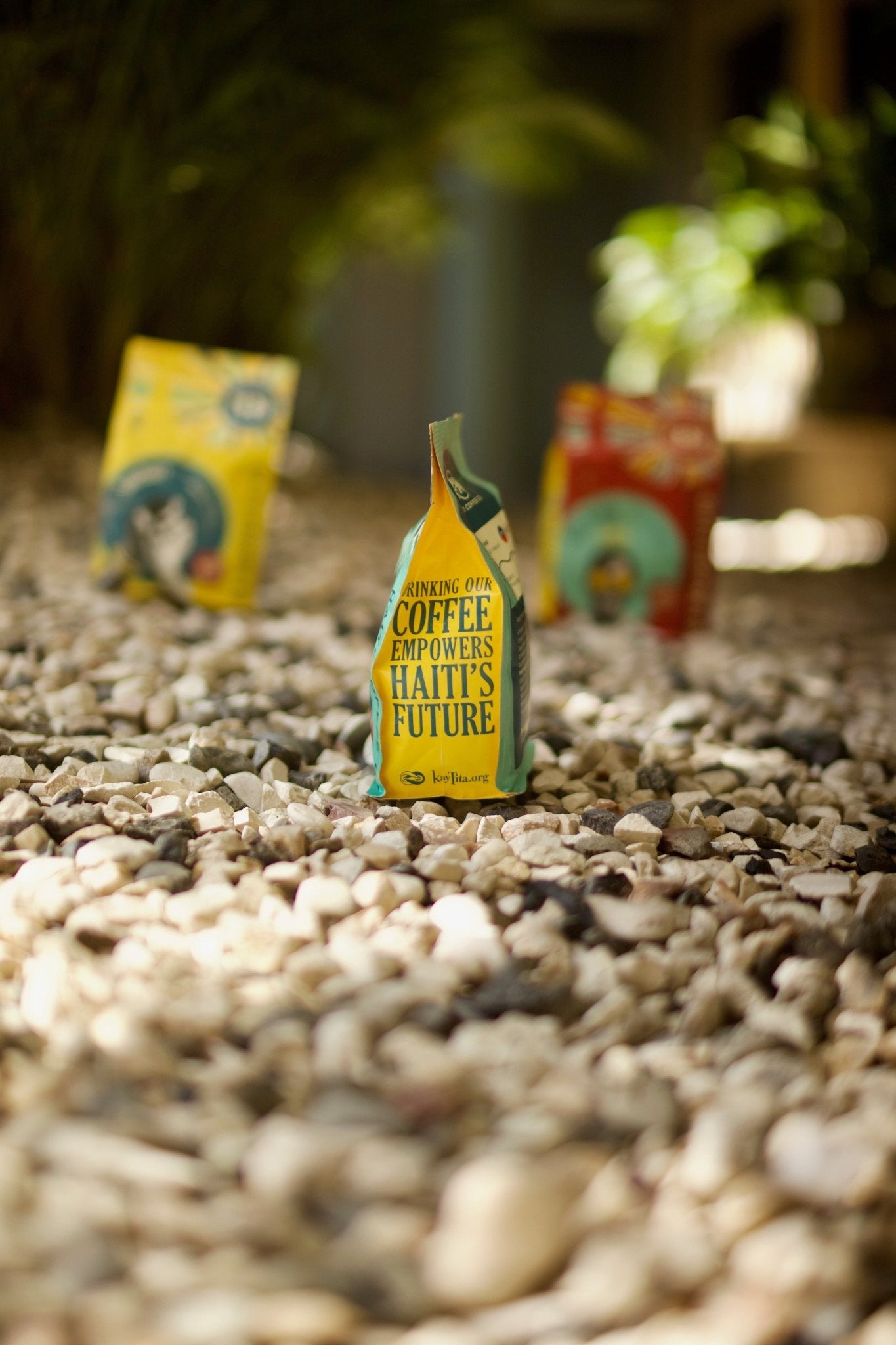 Sanctuary - A - uniquecoffee.storeSanctuarycoffeeA - uniquecoffee.store12oz